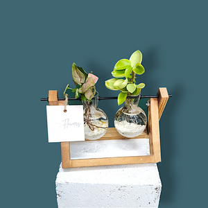 Framed Propagation Station - Double