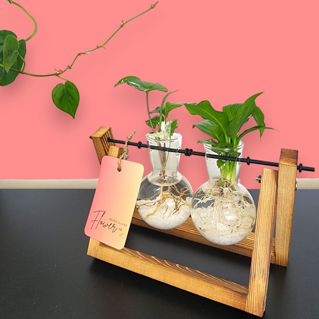 Framed Propagation Station - Double