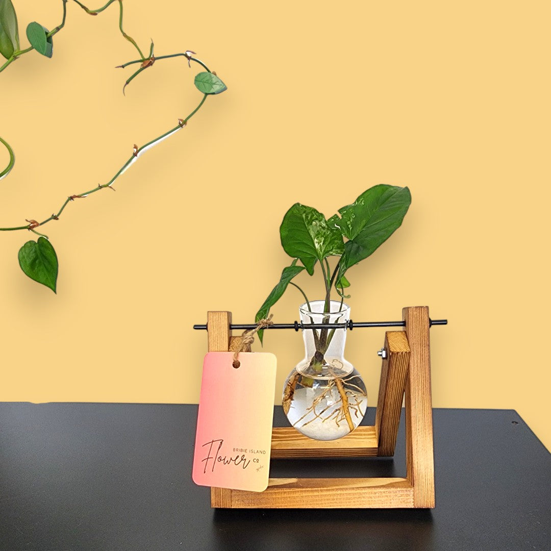 Framed Propagation Station - Single